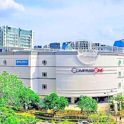 Blk 297B Compassvale Green (Sengkang), HDB 4 Rooms #466476701